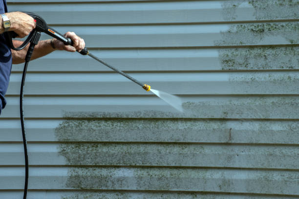 Local Pressure Washing Services in Wellington, FL